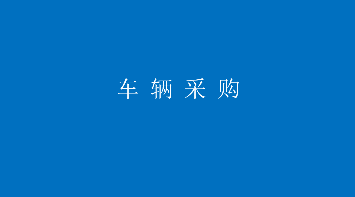 潍坊市舜天汽车租赁有限公司车辆采购项目